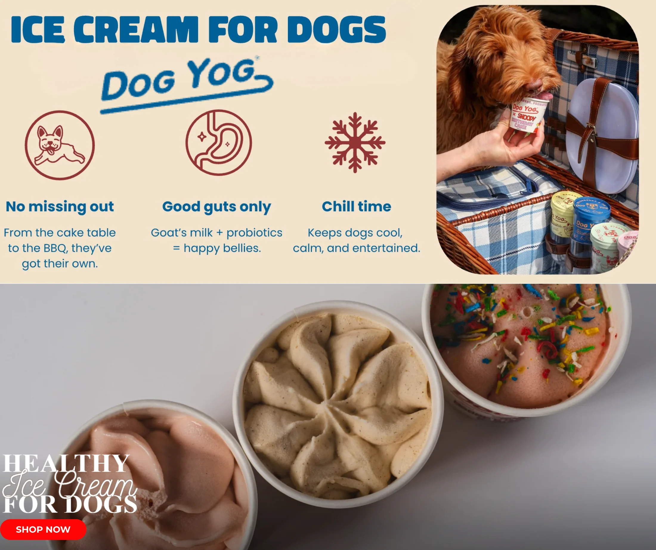 Welcome to Our Store